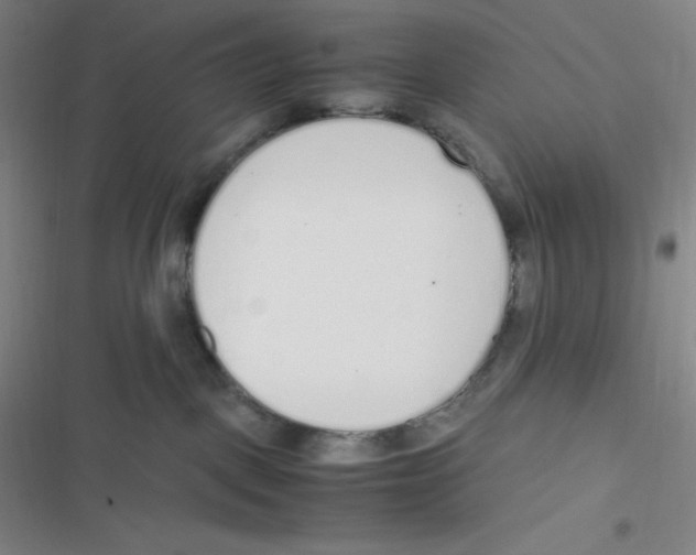 X0000116820093201001081426