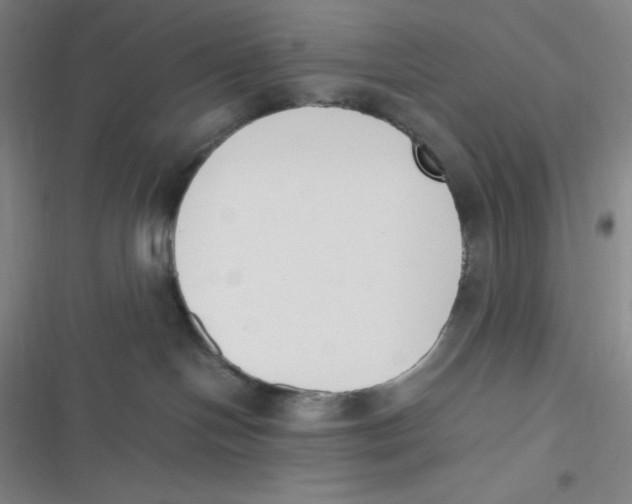 X0000116820094201001081426