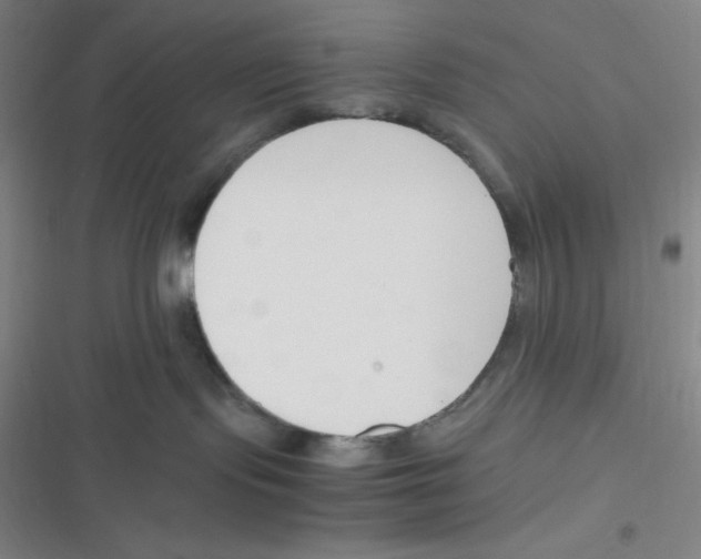 X0000116820095201001081426