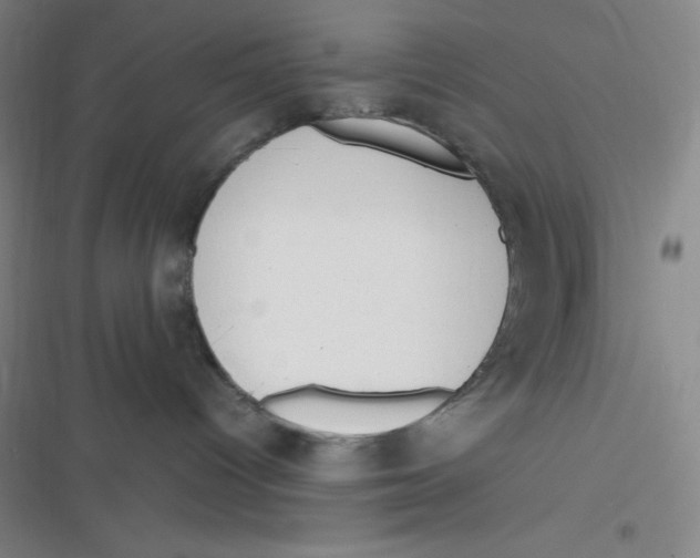 X0000116820096201001081426