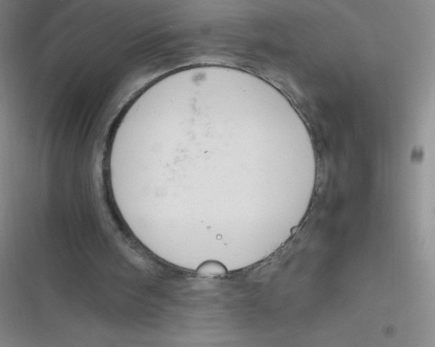 X0000116820098201001081425