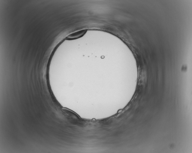 X0000116820099201001081425