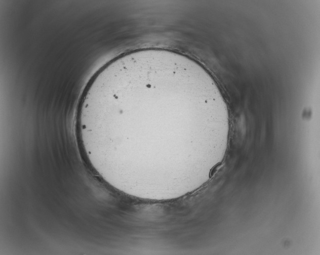 X0000116820100201001081425