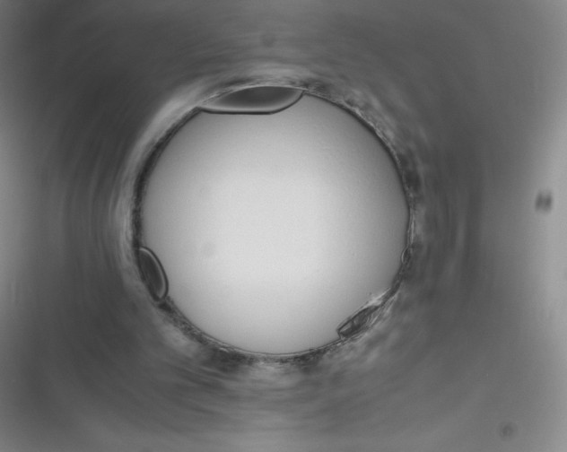 X0000116820101201001081425