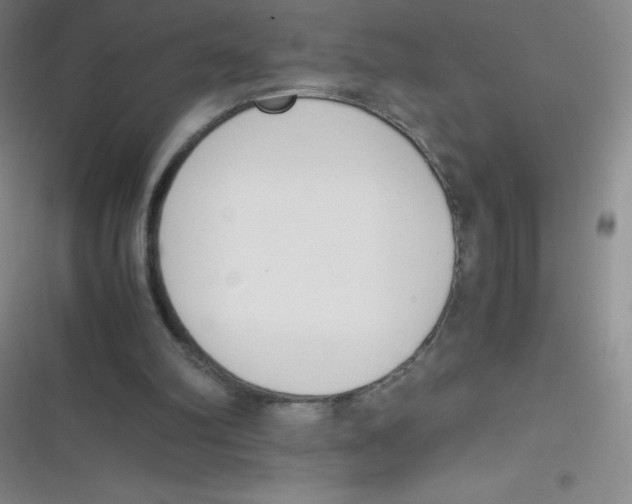 X0000116820102201001081425