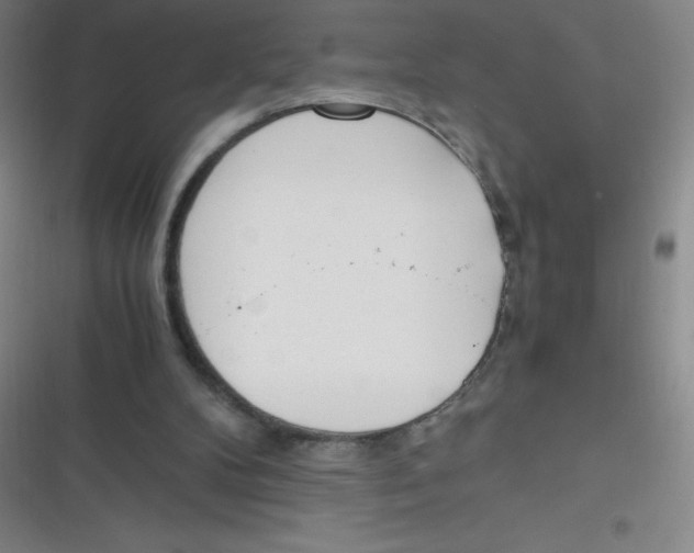 X0000116820104201001081425