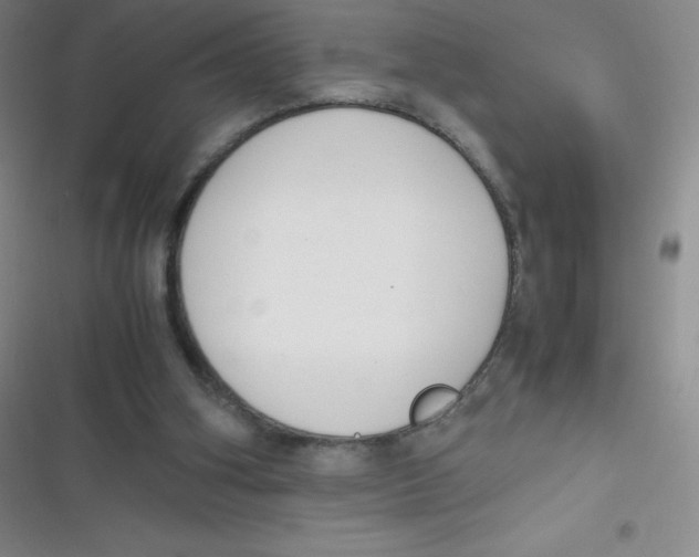 X0000116820106201001081425