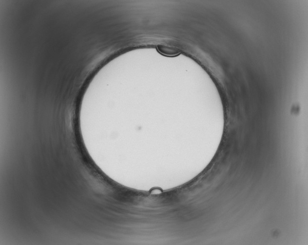 X0000116820107201001081425