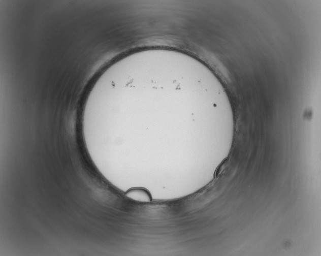 X0000116820108201001081425