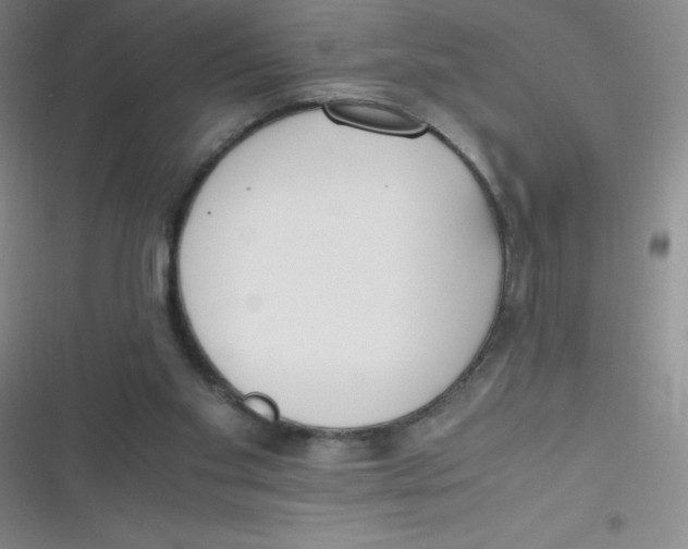 X0000116820109201001081425