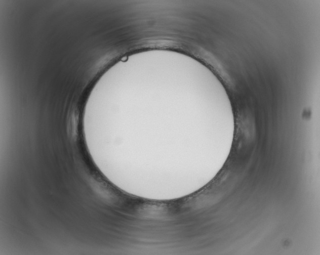 X0000116820110201001081425