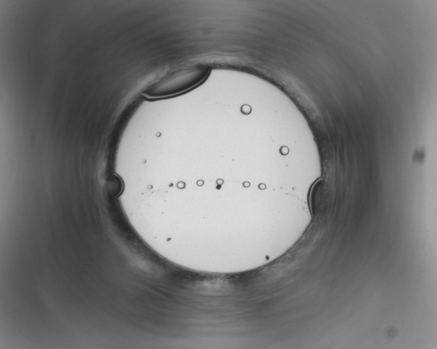 X0000116820112201001081425