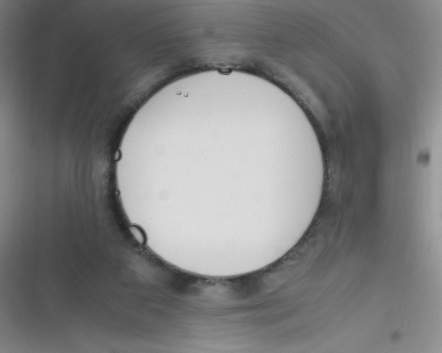 X0000116820113201001081425