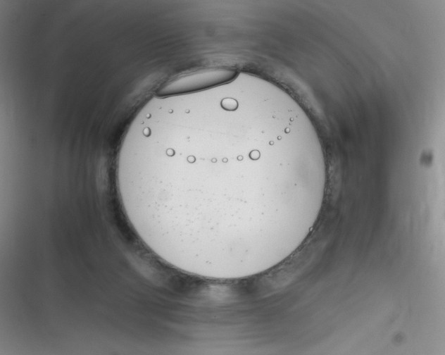 X0000116820114201001081425