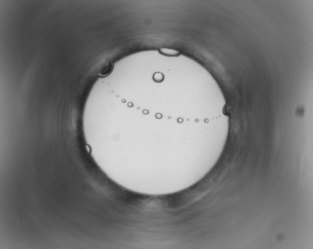 X0000116820115201001081425