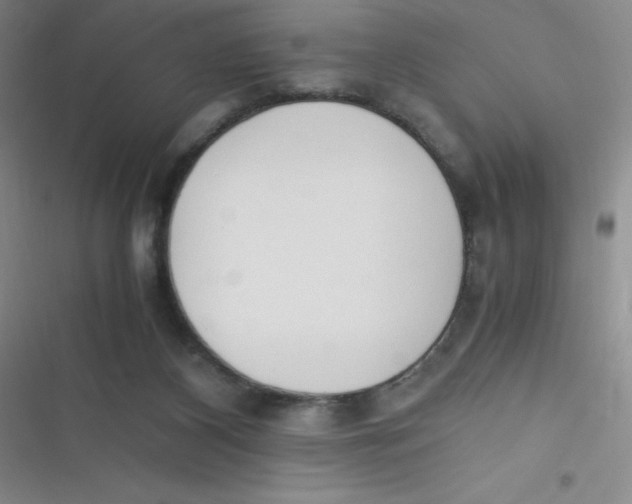 X0000116820116201001081425