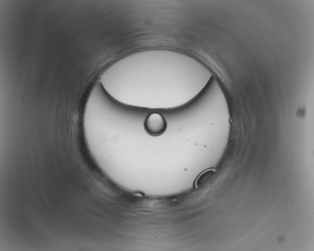 X0000116820117201001081425