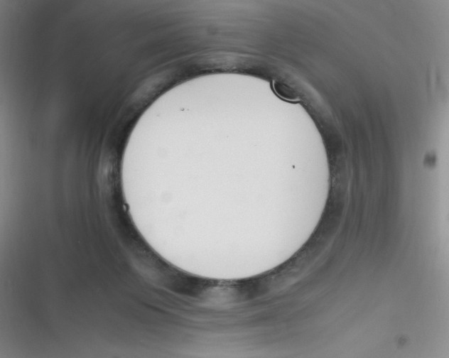 X0000116820119201001081425