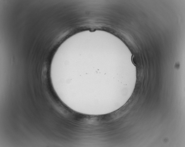 X0000116820120201001081425