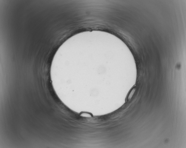 X0000116820121201001081425