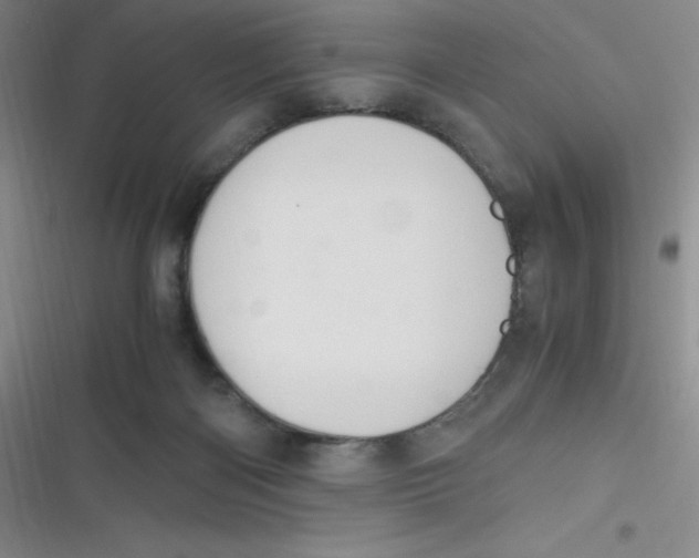 X0000116820122201001081425