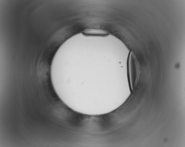 X0000116820125201001081425