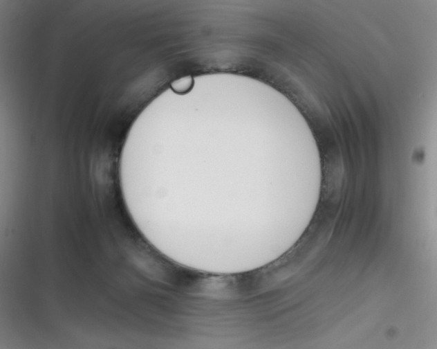 X0000116820126201001081425