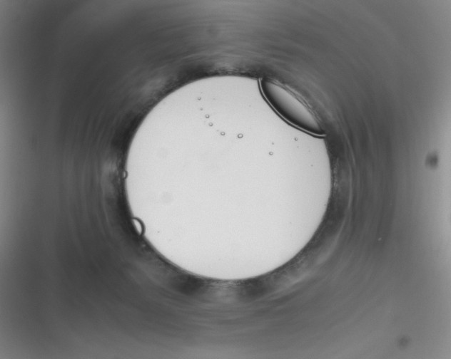 X0000116820127201001081425