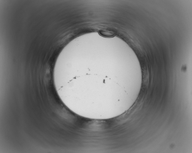 X0000116820128201001081425