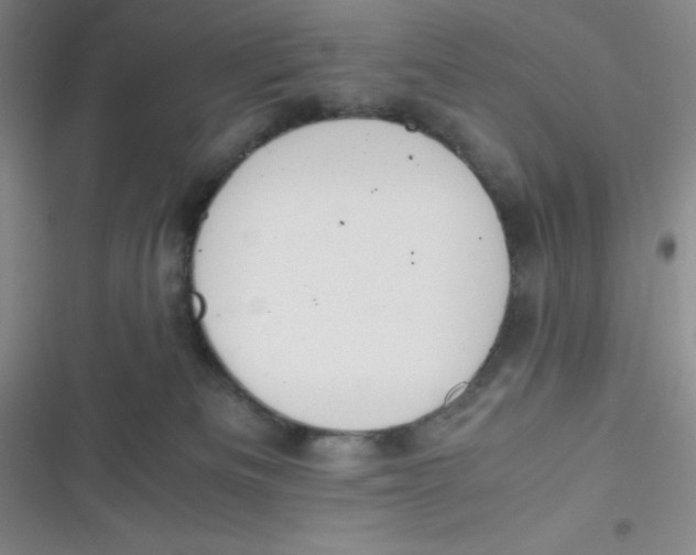 X0000116820133201001081425