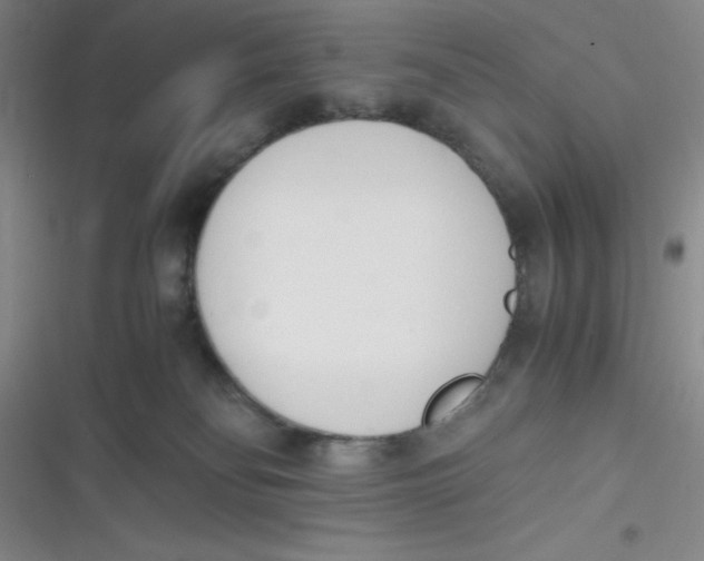 X0000116820134201001081425