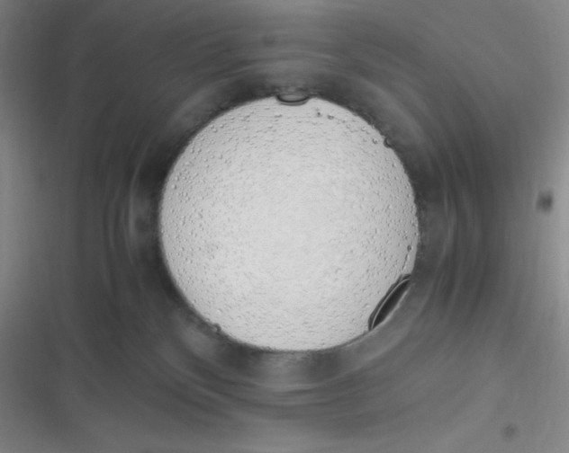 X0000116820136201001081425