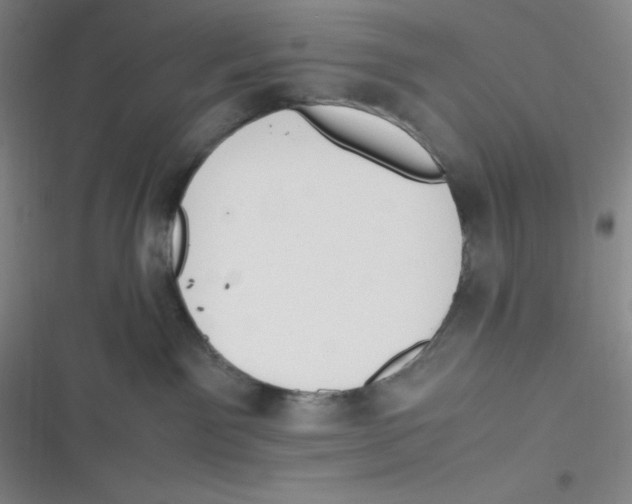 X0000116820141201001081424