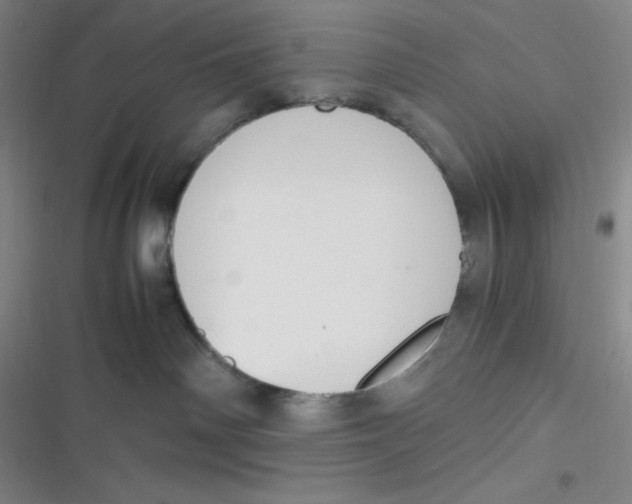 X0000116820142201001081424