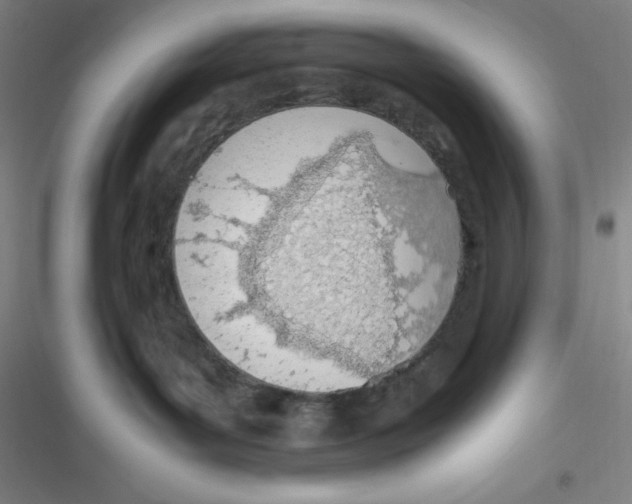 X0000116820143201001081424