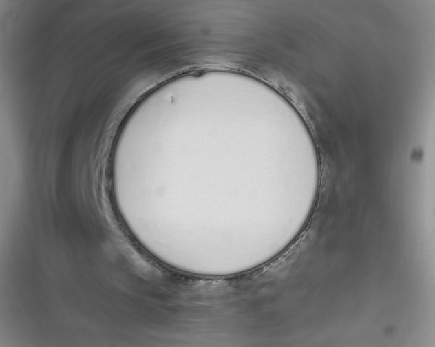 X0000116820145201001081424