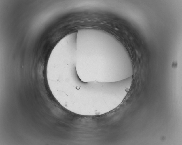 X0000116820146201001081424