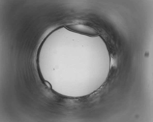 X0000116820147201001081424