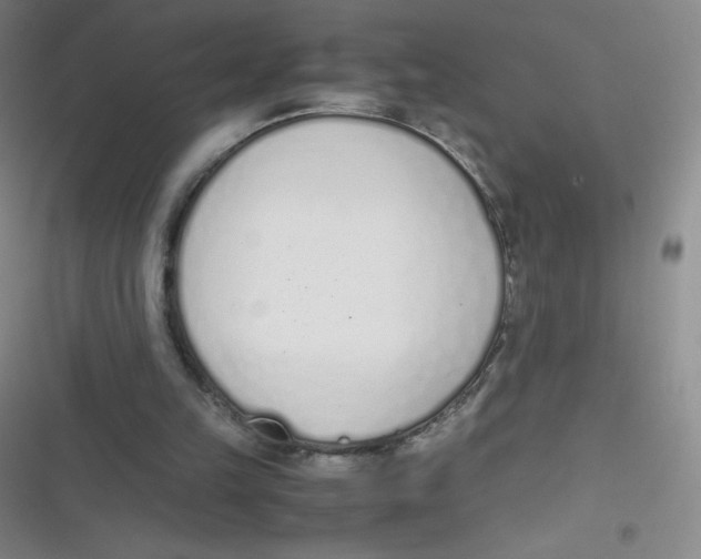 X0000116820149201001081424