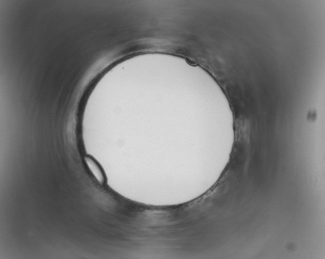 X0000116820150201001081424