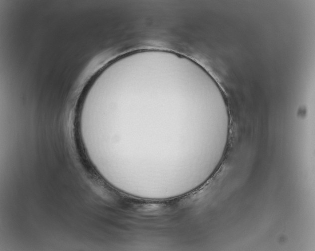 X0000116820151201001081424