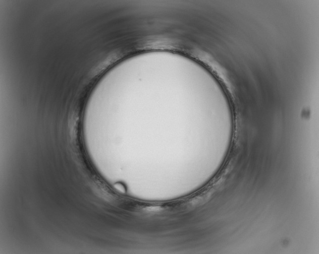 X0000116820153201001081424