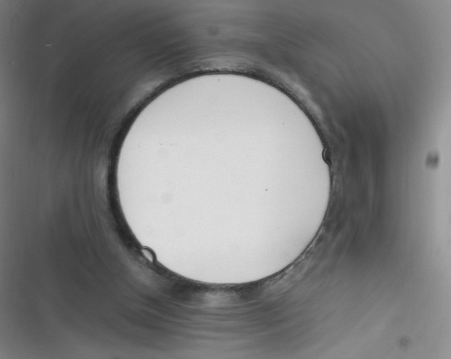 X0000116820154201001081424