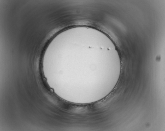 X0000116820155201001081424