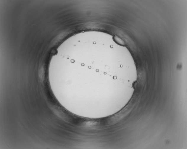 X0000116820158201001081424