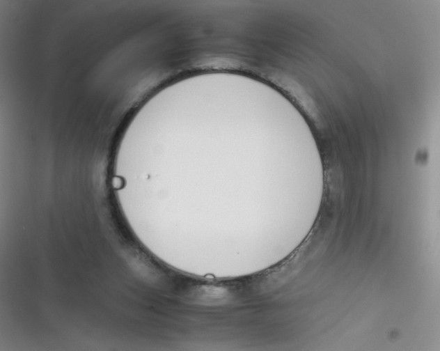 X0000116820159201001081424