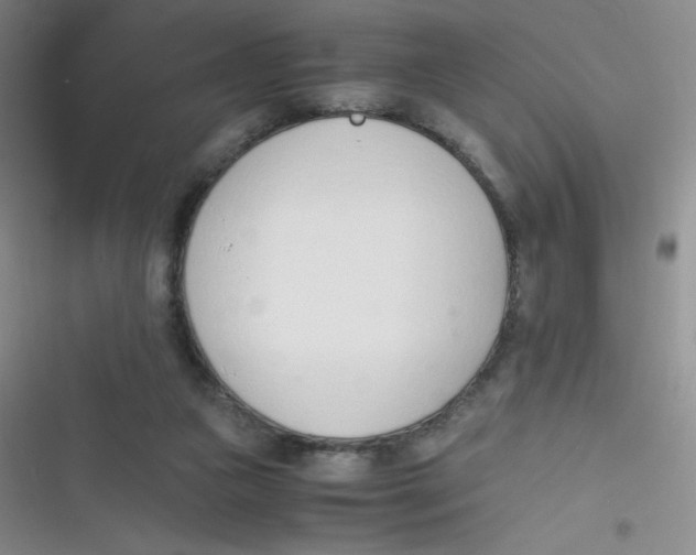 X0000116820161201001081424