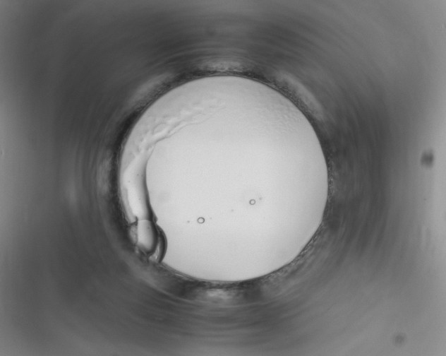 X0000116820163201001081424