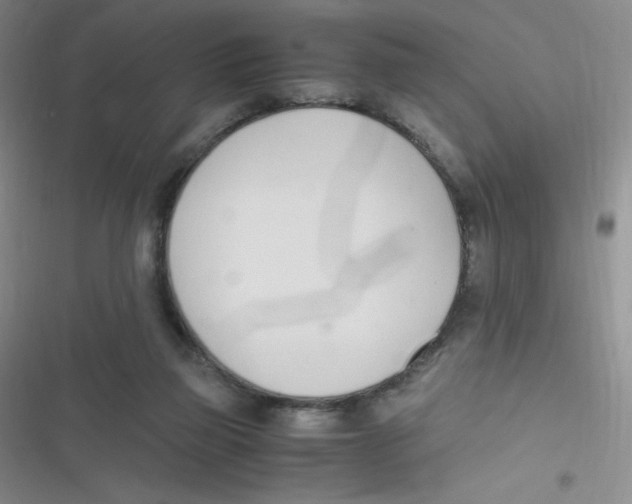 X0000116820165201001081424