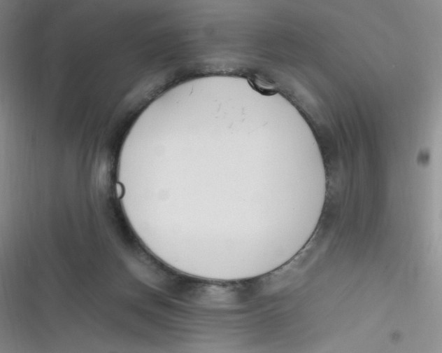 X0000116820166201001081424